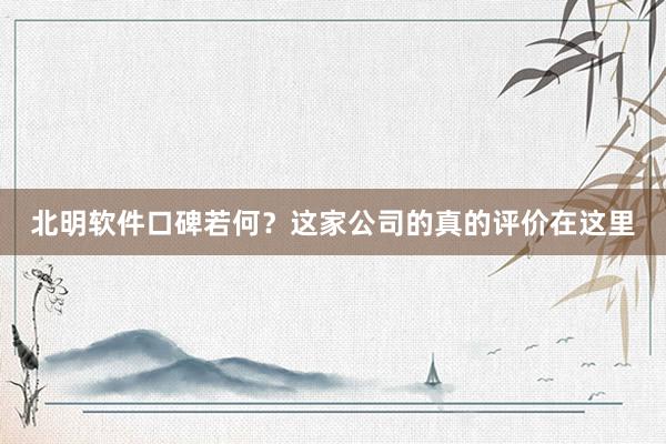 北明软件口碑若何？这家公司的真的评价在这里